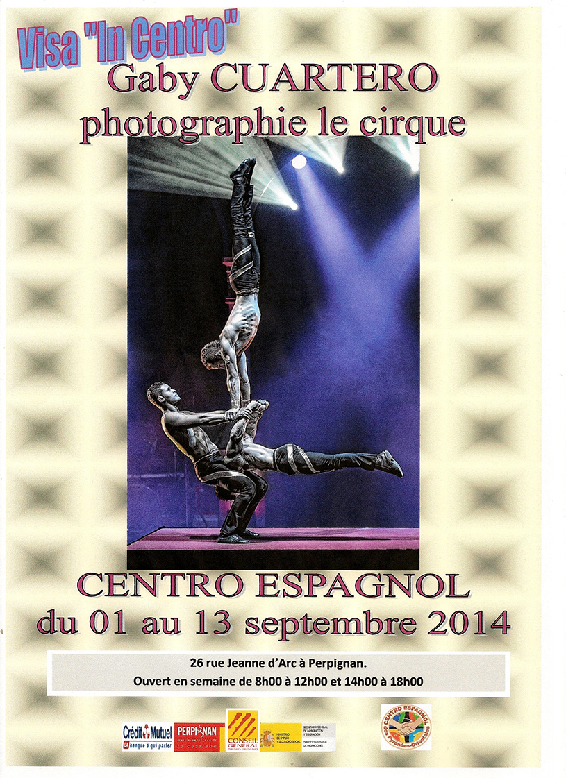 affiche Visa In Centro 2014 001