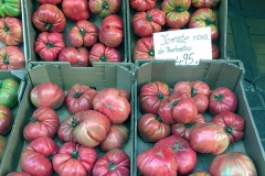 32-Tomates-de-Barbastro