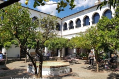 24-Parador-de-Guadalupe